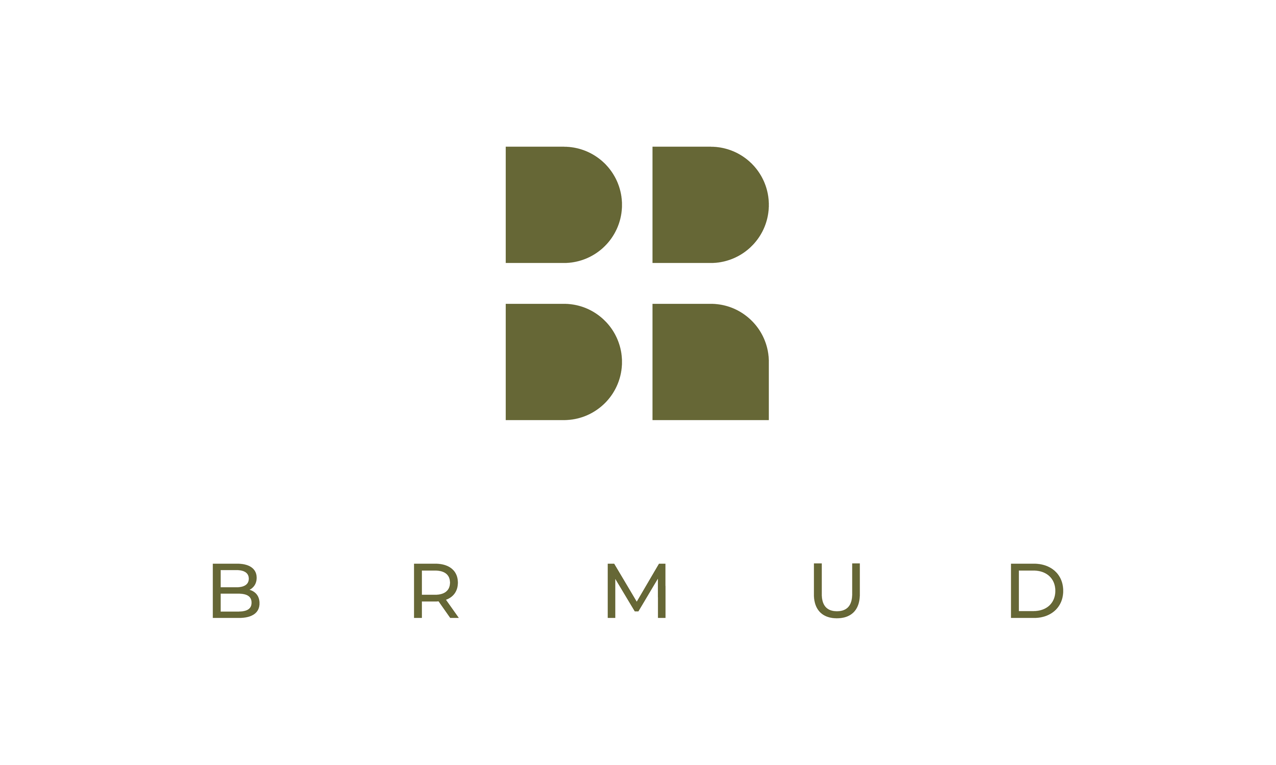 BRMUD