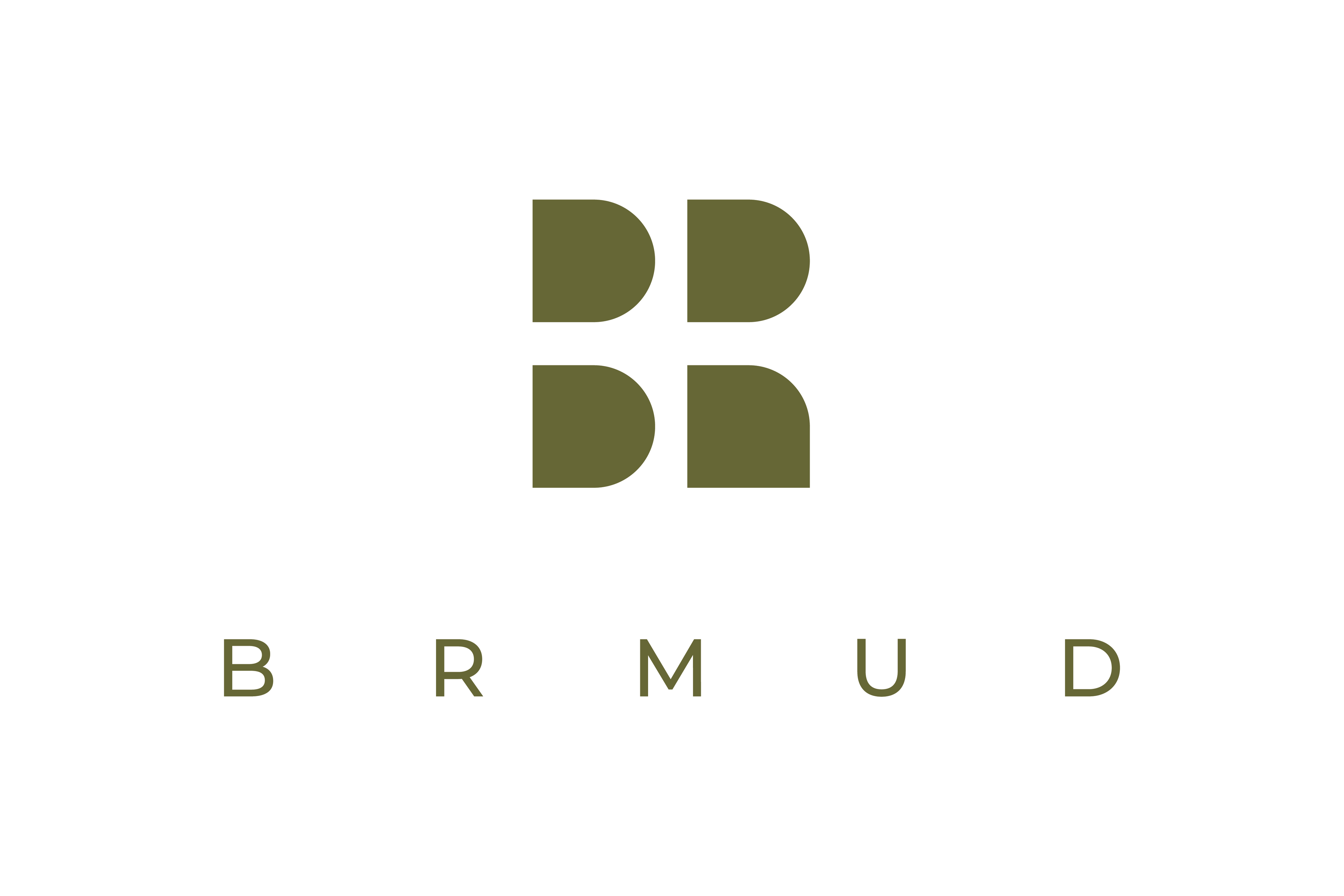 BRMUD.png