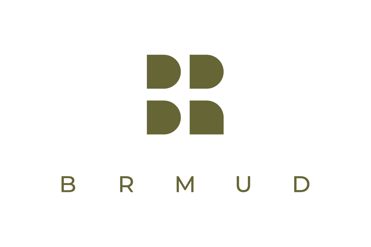 BRMUD_3a727ce0-32d2-4904-b6ce-10294ed00d2e.png